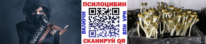 Псилоцибиновые грибы Psilocybine cubensis  даркнет сайт  Новосибирск 