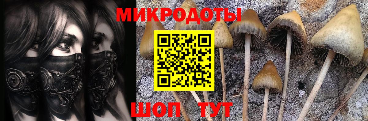 Галлюциногенные грибы MAGIC MUSHROOMS  Вход с VPN  Новосибирск 